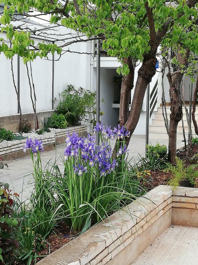 Apartman 2 扎达尔 外观 照片