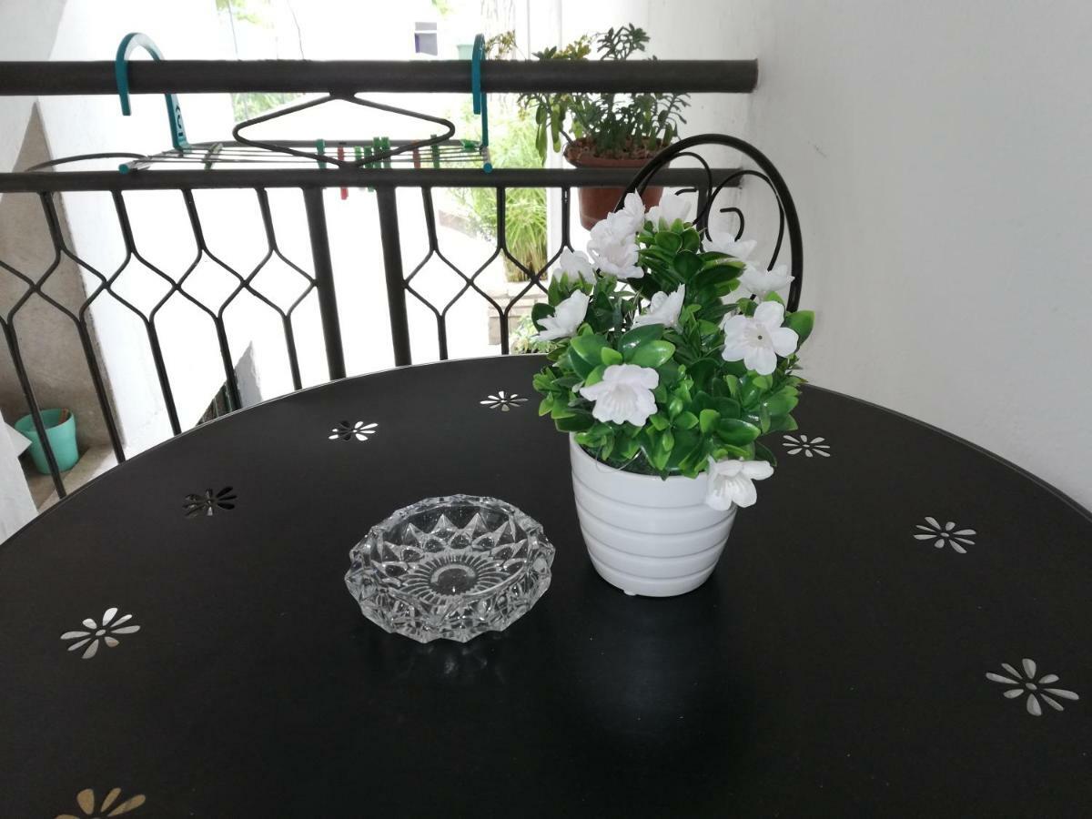 Apartman 2 扎达尔 外观 照片