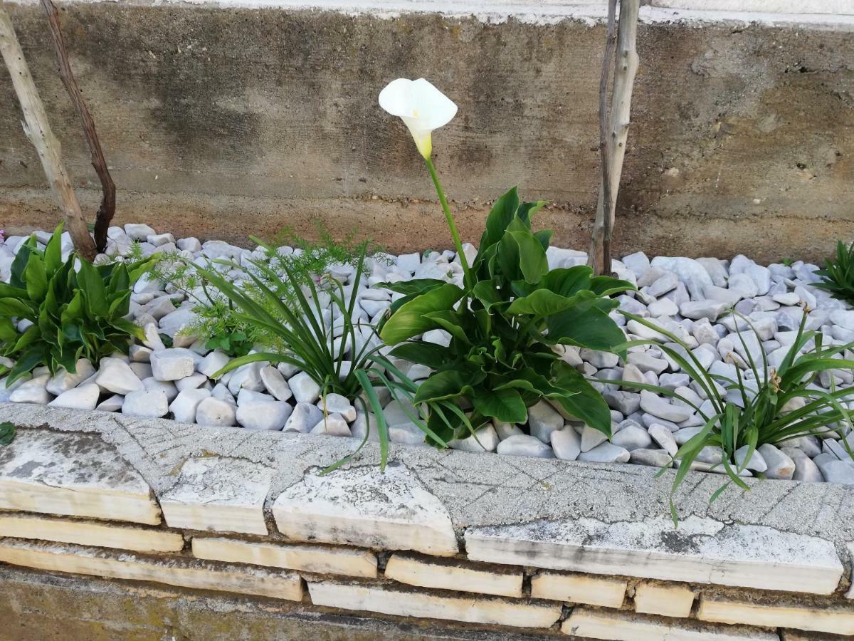 Apartman 2 扎达尔 外观 照片